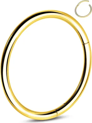 OUFER G23 Titanium Nose Rings Clicker Hoop Cartilage Earrings Silver Gold Helix Piercing jewelry 20G Daith Rook Conch Hinged Nostril 0.8mm for Men Women Gift