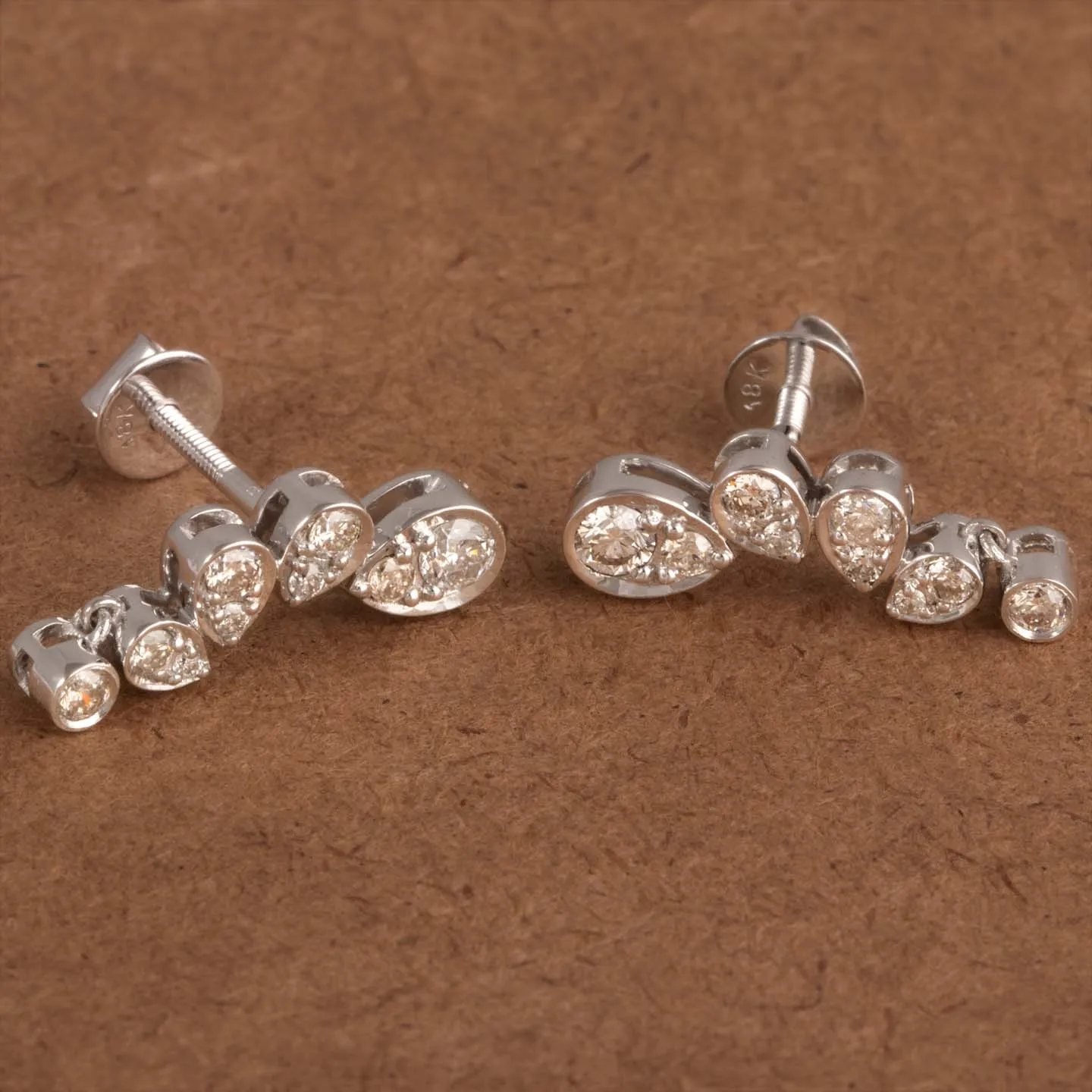 Showy Silver Stud Earring