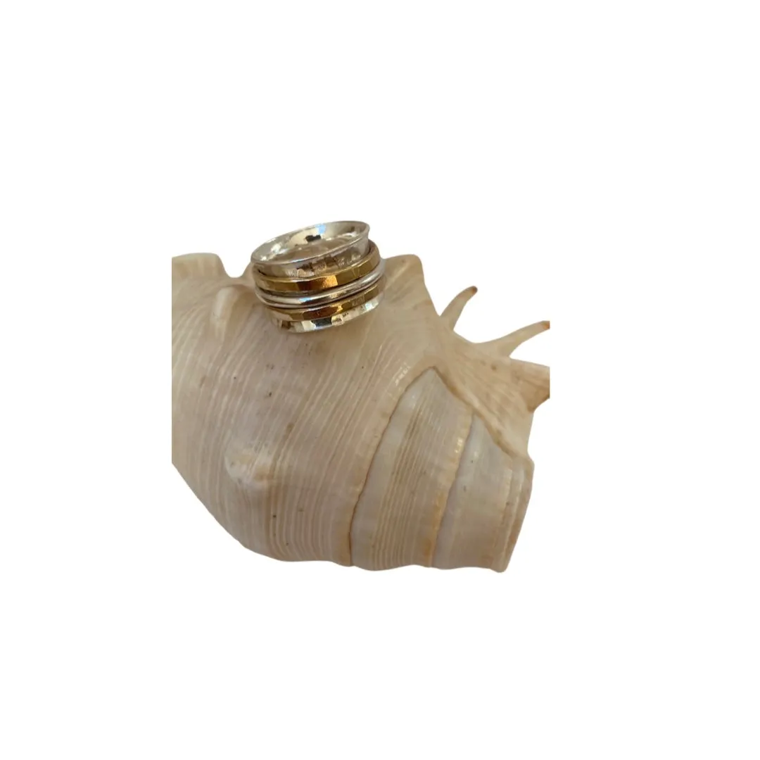 Silver and Gold Spinner Ring