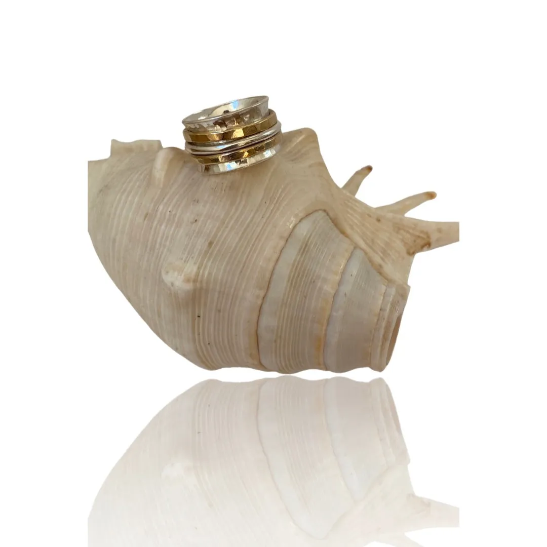 Silver and Gold Spinner Ring