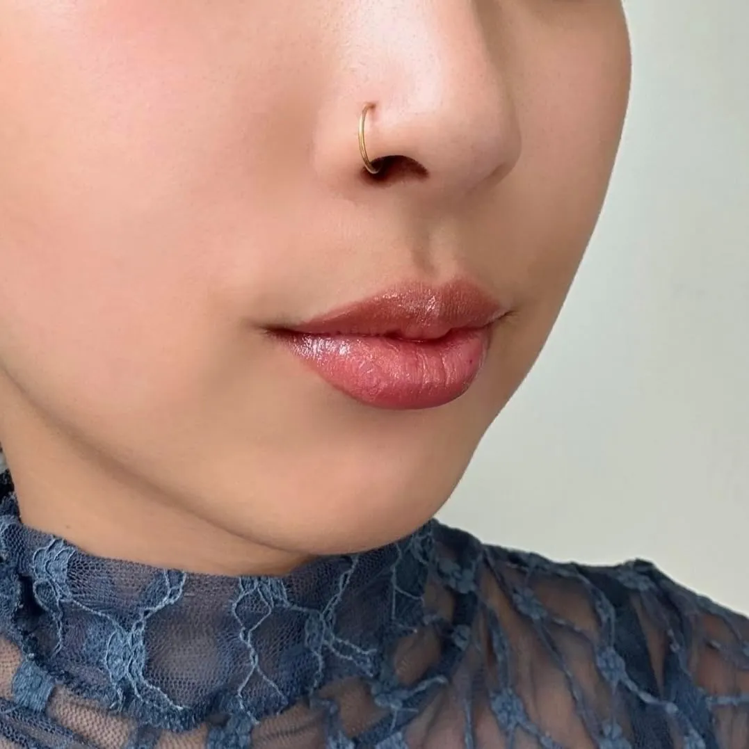Titanium Nose Rings Hoop/Hinged Jewelry Earring for Septum, Cartilage earrings and Piercing ring for Conch, Daith, Rook, Lip, Belly Button, Body Piercings for Women and Men